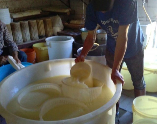  Momentos de procesamiento de queso 