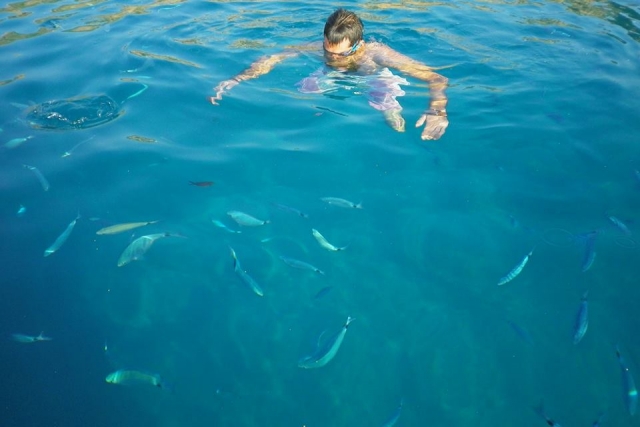  Sesiones de snorkel 