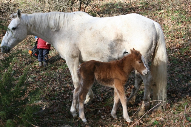  el bebé con la madre, ¿no son hermosos? 