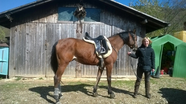  Nuestros caballos fantastini le esperan experiencias únicas. 