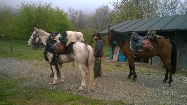  nuestros hermosos caballos