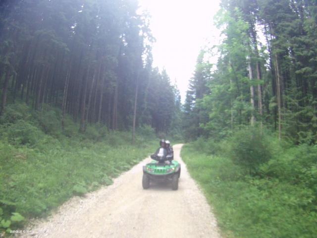  la diversión está asegurada 