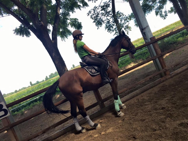  Divirtiéndonos mientras aprendemos 