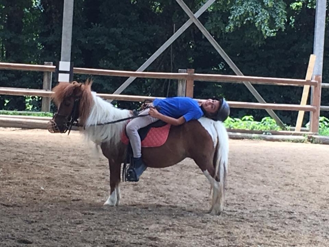  Listos para un paseo en pony 