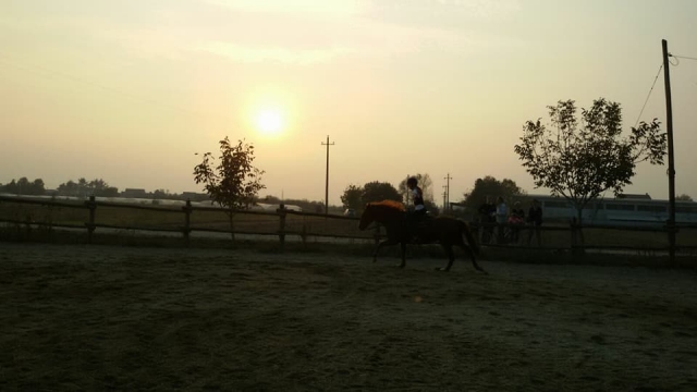  Entrenamiento de muestra 