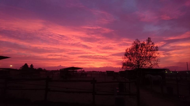  las últimas luces del día en nuestra escuela de equitación 