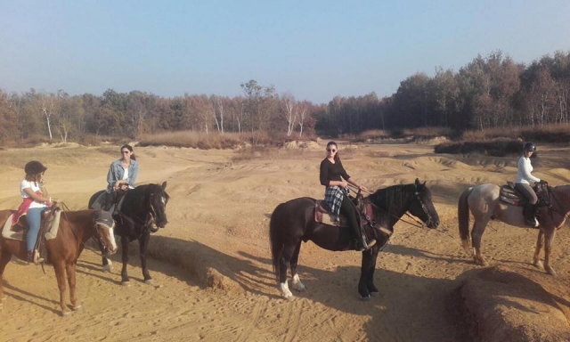  Nuestros caballos amigos 