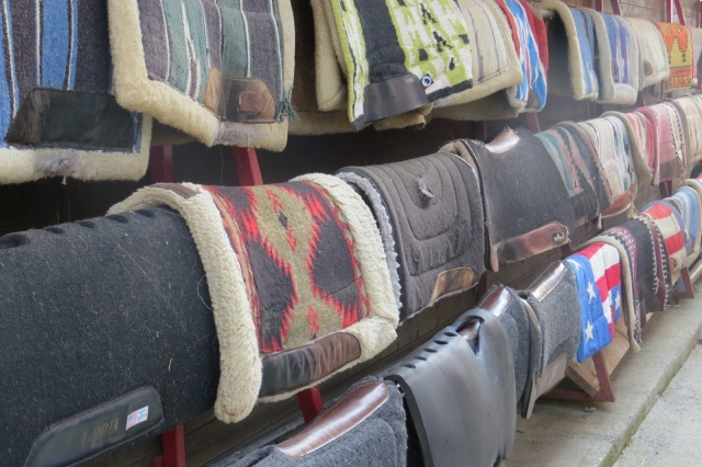  Ejemplares únicos y hermosos 