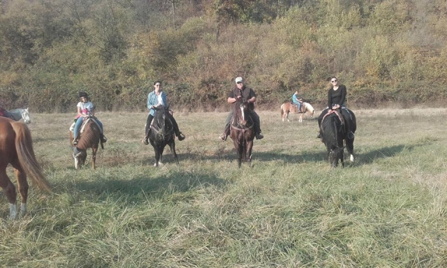  Nuestras sillas de subir 