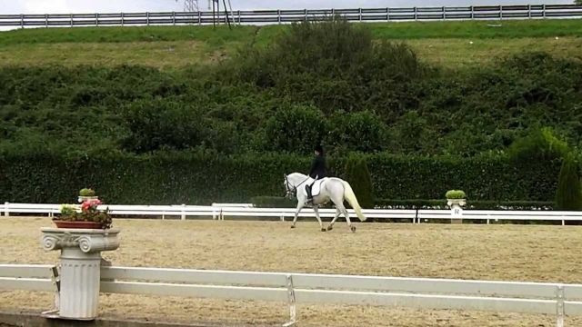  una maravilla única 