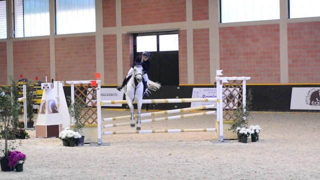  venga y participa en las lecciones de saltos 