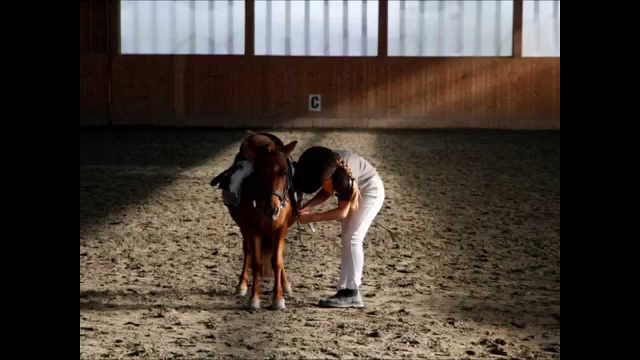  El amor por la conducción desde la infancia 