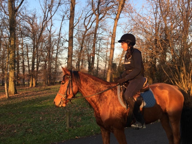 cabalgando por el bosque 