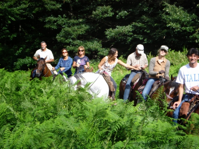  Venga a vivir una aventura con nosotros 