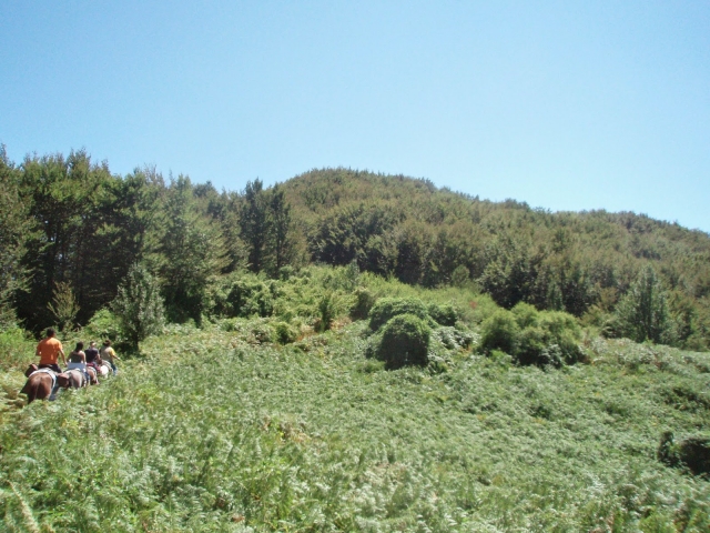  la naturaleza le espera, decides unirle a uno de nuestros trekking 