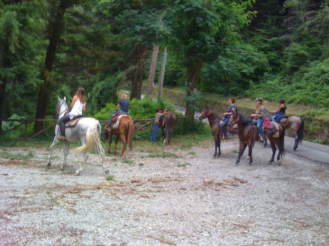  Disfruta del contacto directo con la naturaleza