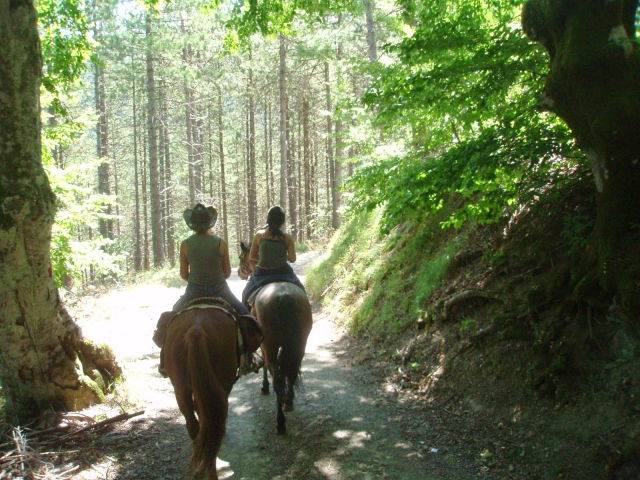  Fantásticos paisajes le esperan 