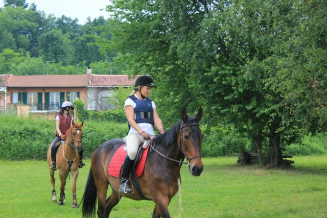 Camina en la naturaleza regenera cuerpo y alma 