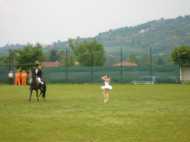  participa en pasantías y eventos 