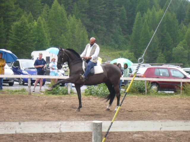  Nuestros fantásticos sementales 