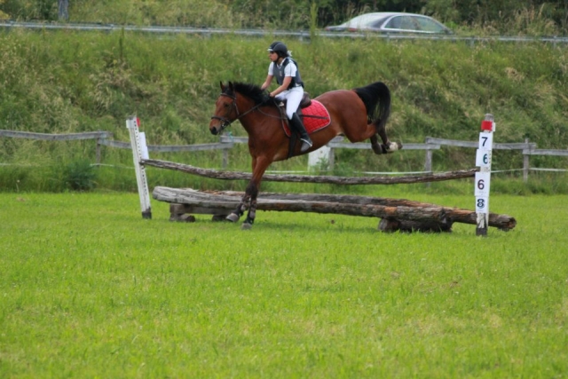  no pierdas más tiempo, venga a visitarnos