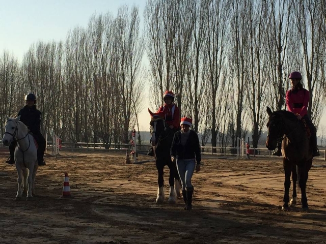  Vacaciones de Navidad en silla de montar