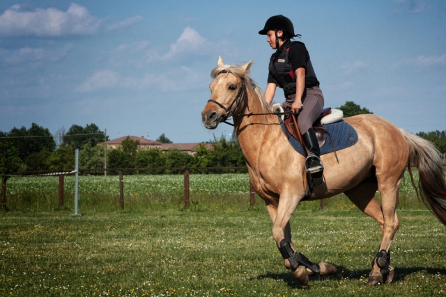  Emociones en la silla 