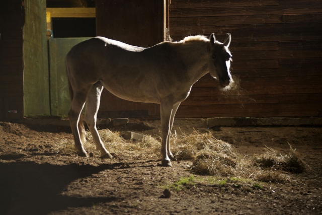  Uno de nuestros amigos 