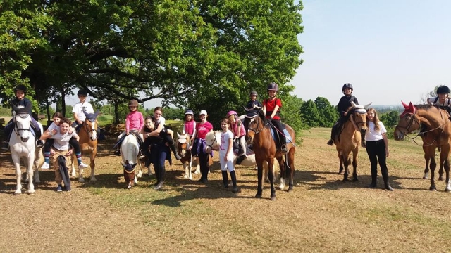  Caballitos de ponis y niños 