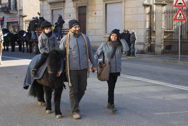 caballos para niños 