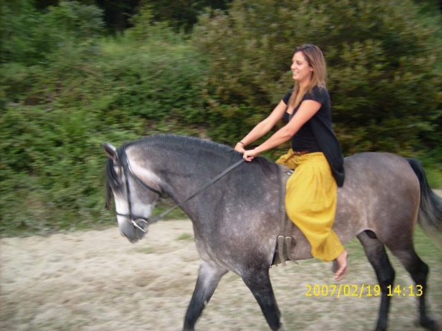  subiendo nuestros caballos 