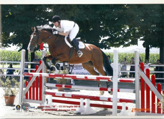  ¡Elige el espectáculo saltando! 