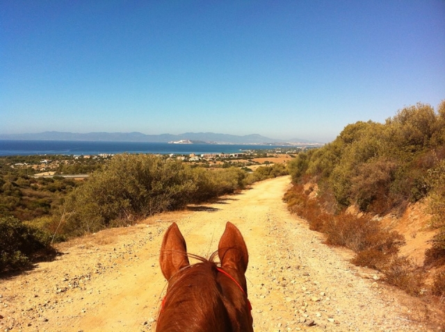  El bienestar de la equitación es único 