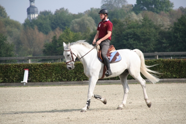  Sintoniza su caballo 