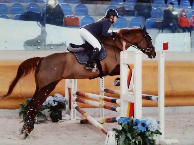  salto de obstáculos 