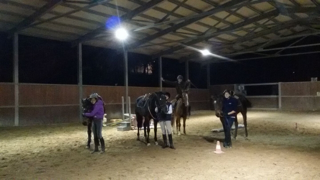  nuestros maravillosos caballos le esperan 