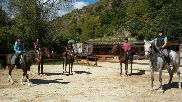  El equipo le está esperando 