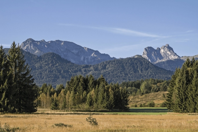  se expande para subir 