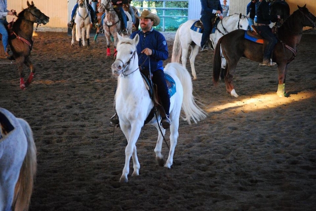  nuestros espléndidos caballos 
