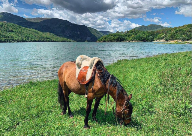  a caballo en el lago 