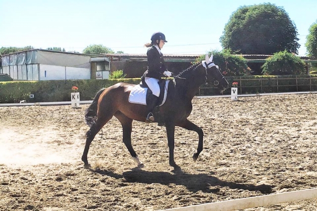 acercamiento a la doma 