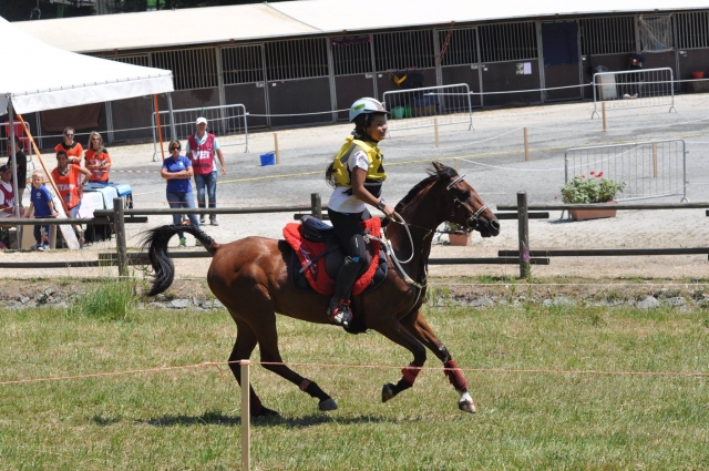  algunas de nuestras carreras 