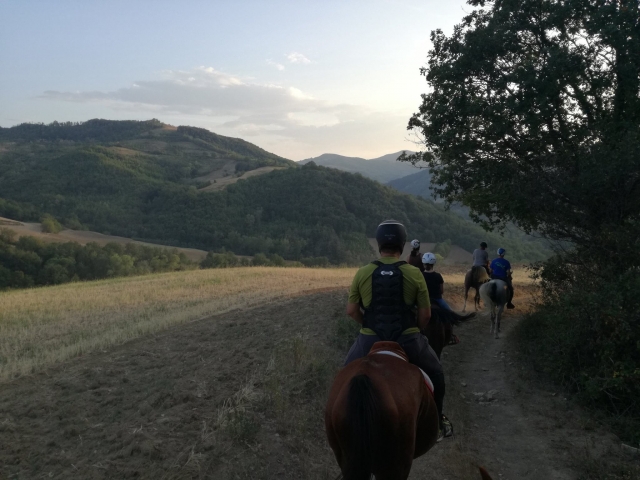  participa en nuestro camina 