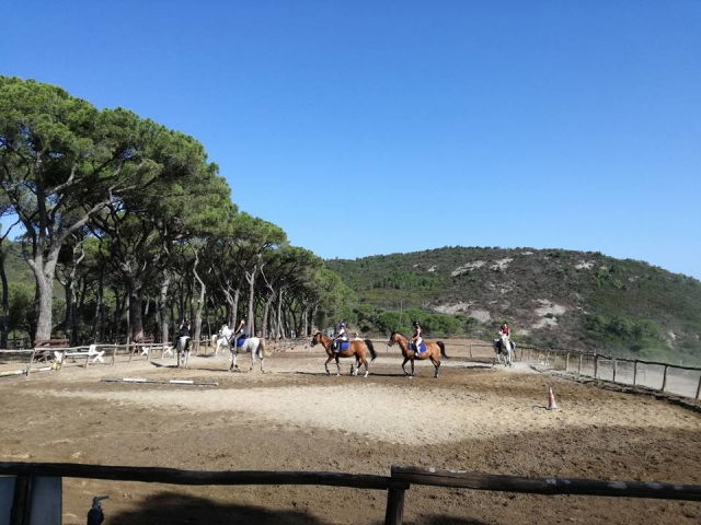  venga y diviértele con nosotros 