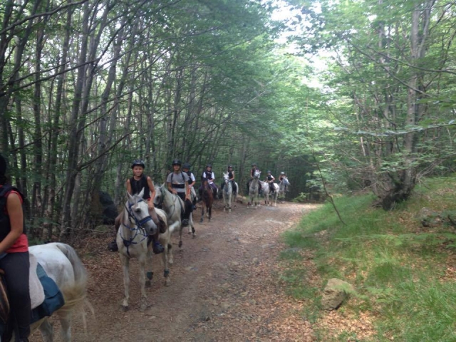  venga y participa en nuestro trekking