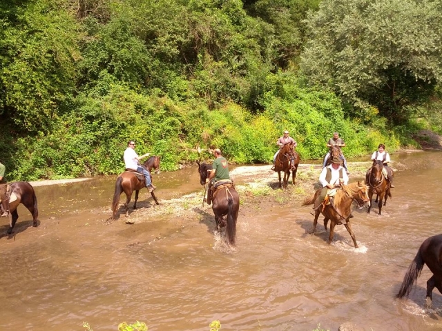  excursiones por el río 