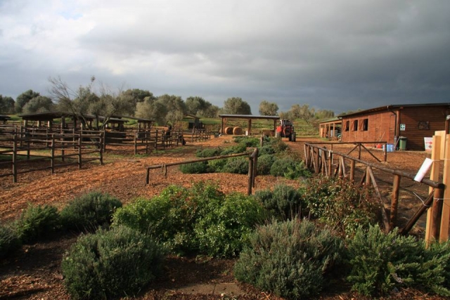  vista de la finca