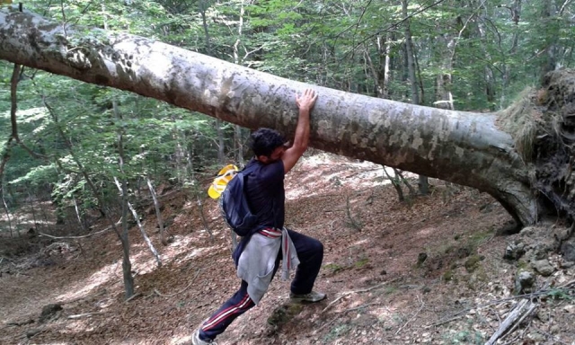  Pequeños excursionistas 