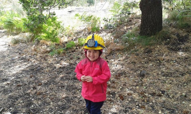  Todos alineados para caminar 