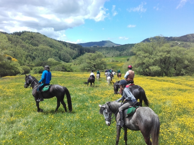  Excursión a caballo 